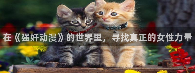 汗汗漫画哪个网站可以看：在《强奸动漫》的世界里，寻找真正的女性力量配图