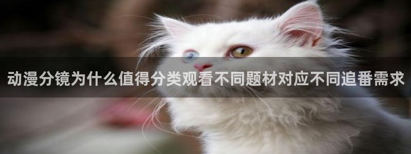 汗汗漫画在线章节列表:动漫分镜为什么值得分类观看不同题材对应不同追番需求配图