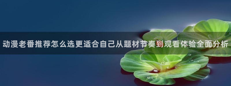 汗汗漫画最新:动漫老番推荐怎么选更适合自己从题材节奏到观看体验全面分析配图