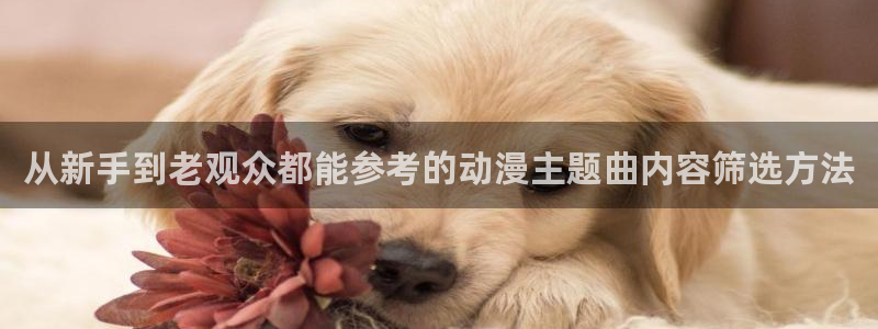 汗汗漫画免费观看完整版:从新手到老观众都能参考的动漫主题曲内容筛选方法配图
