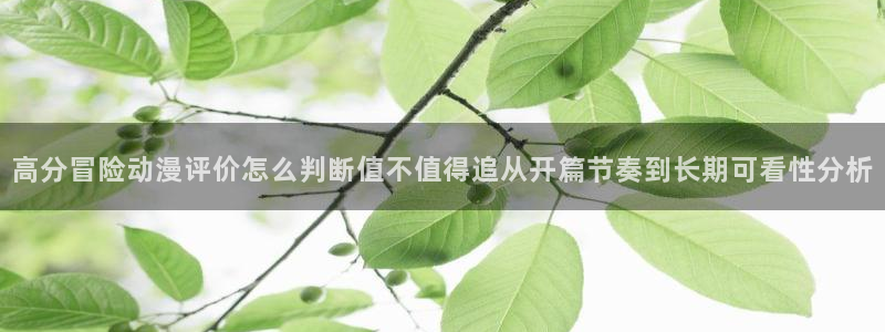 汗汗漫画在线中文版:高分冒险动漫评价怎么判断值不值得追从开篇节奏到长期可看性分析配图