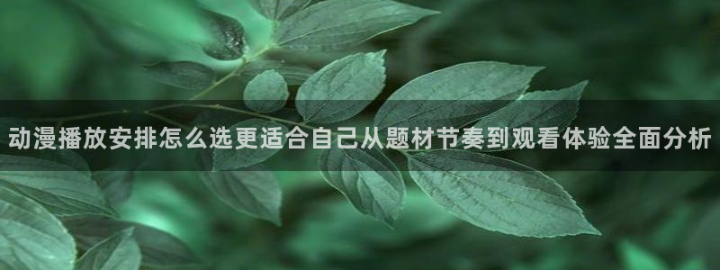 汗汗漫画中文版在线阅读:动漫播放安排怎么选更适合自己从题材节奏到观看体验全面分析配图
