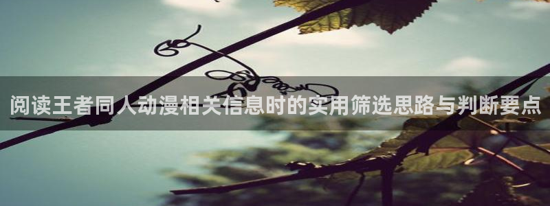 汗汗漫画章节目录:阅读王者同人动漫相关信息时的实用筛选思路与判断要点配图